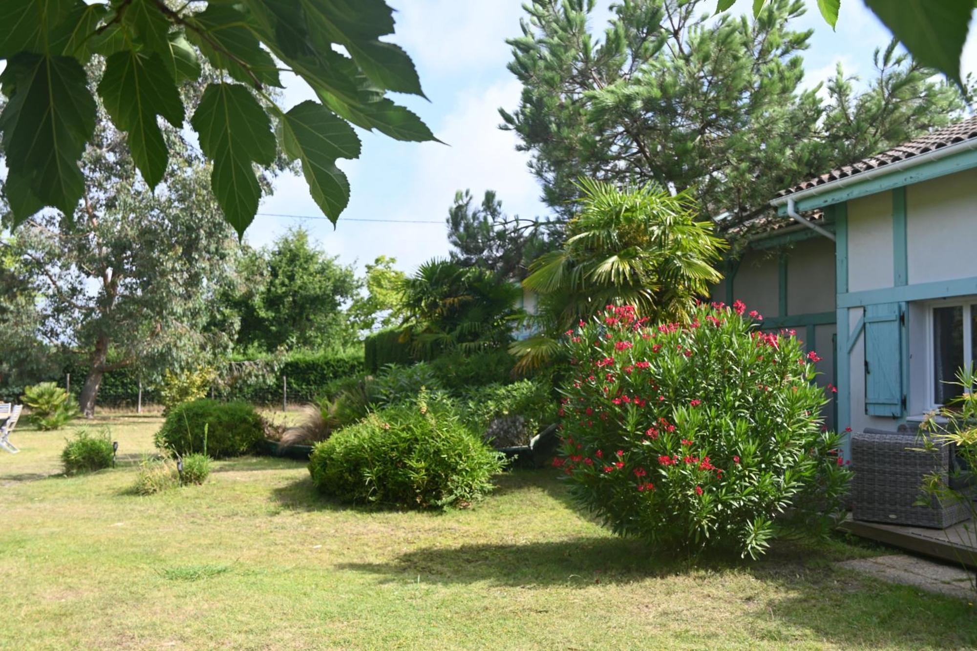 Le Mas Des Landes Vielle-Saint-Girons Esterno foto